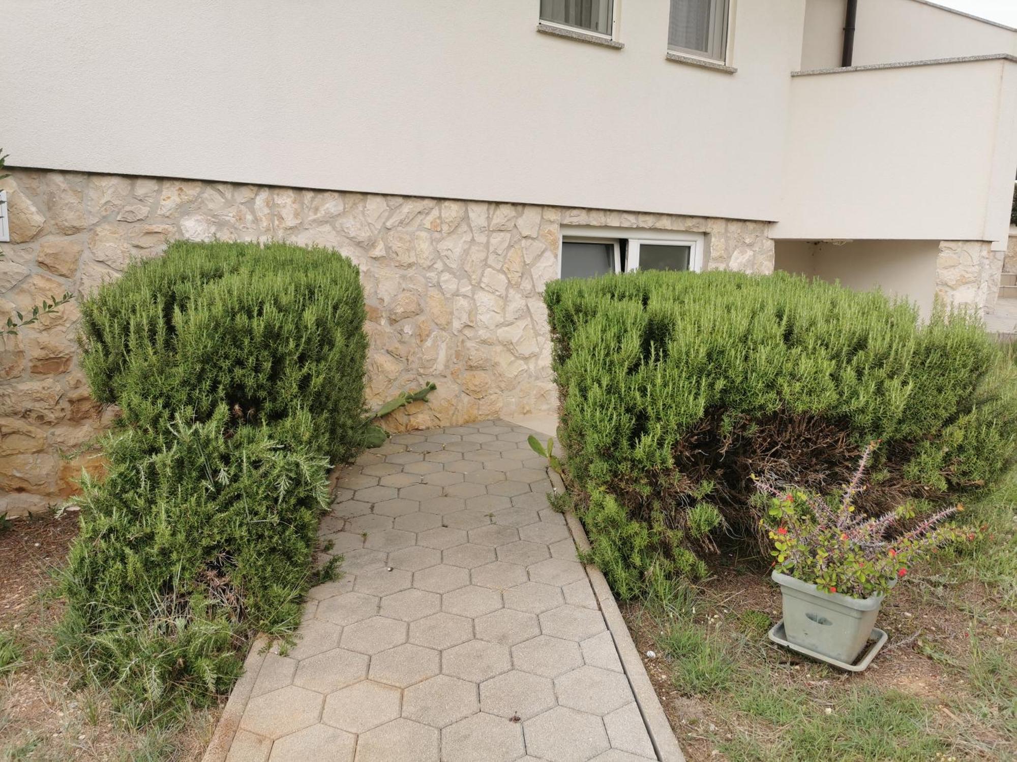 Apartments Riva Povljana Kültér fotó